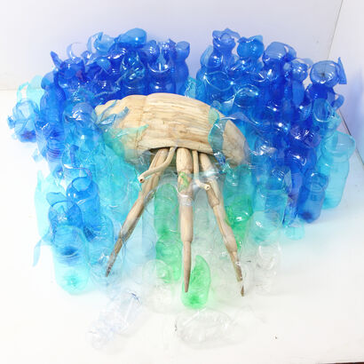 Pagurus plasticae - a Sculpture & Installation Artowrk by stefano zaratin